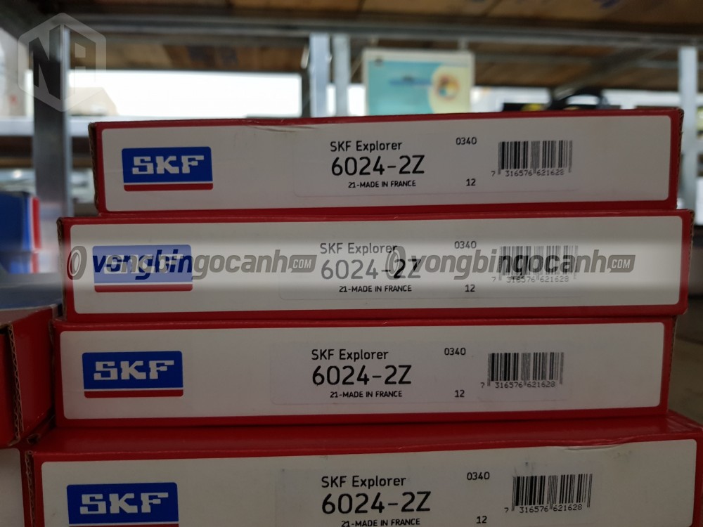 SKF 6024-2Z Vòng bi Ngọc Anh