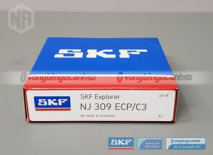 Vòng bi NJ 309 ECP/C3 SKF chính hãng