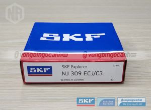 Vòng bi NJ 309 ECJ/C3 SKF chính hãng